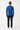 Royal Blue - worn-back